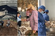 五行自测奇富科技百万帮扶云南中屏镇：菌菇田里的振兴密码与“村BA”的双向奔赴