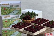 五行自测高速赋能产业升级：一条“杨梅路”的致富密码