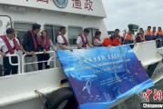 五行自测浙江今年计划放流种类海洋水生生物苗种超15亿单位